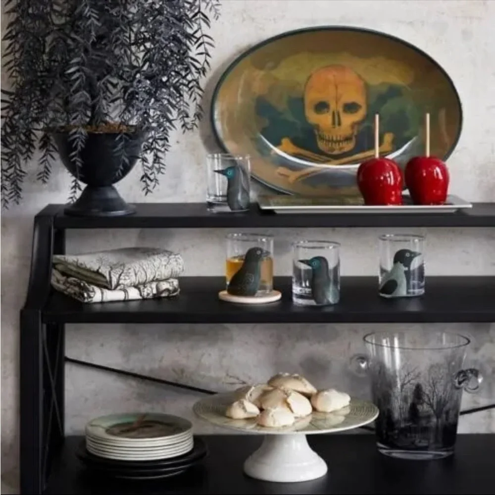 NEW John Derian Spooky Cold As Ice Halloween Ice Bucket OOS Highly Colle… - Picture 3 of 4